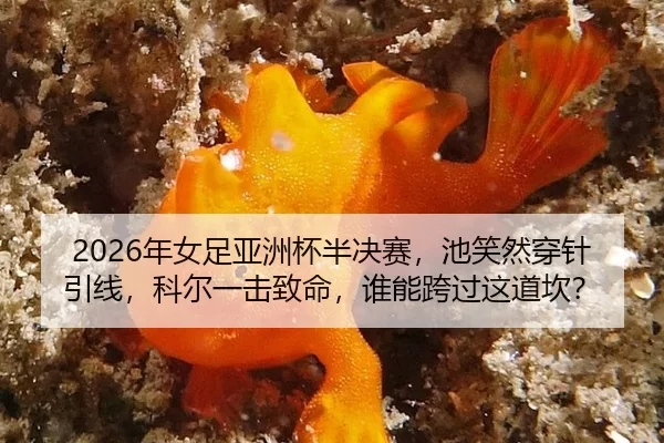 nian-nv-zu-ya-zhou-bei-ban-jue-sai-chi-xiao-ran-chuan-zhen-yin-xian-ke-er-yi-ji-zhi-ming-shui-neng-kua-guo-zhe-dao-kan-2-577.jpg